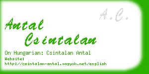 antal csintalan business card